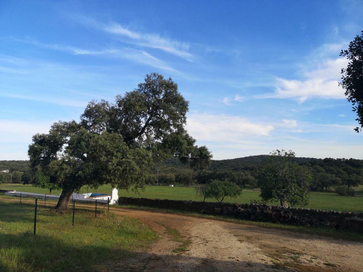 Casa Rural La Dehesilla Cazalla de la Sierra Buitenkant foto