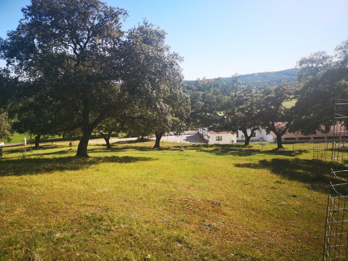 Casa Rural La Dehesilla Cazalla de la Sierra Buitenkant foto